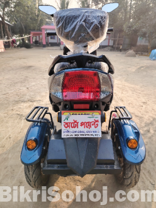 Shadow, Wolf- 3, 2025